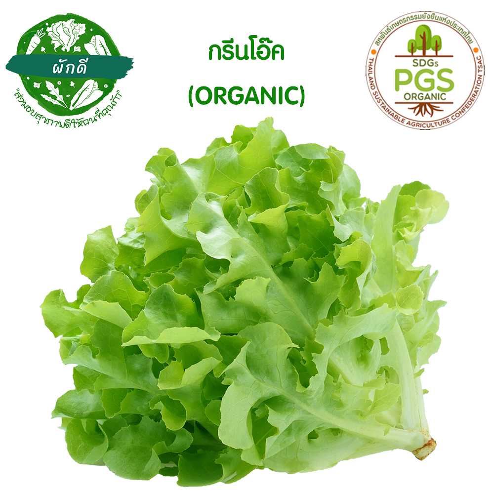 ผักสลัด กรีนโอ๊ค ออแกนิก (Green Oak Lettuce)  250 กรัม