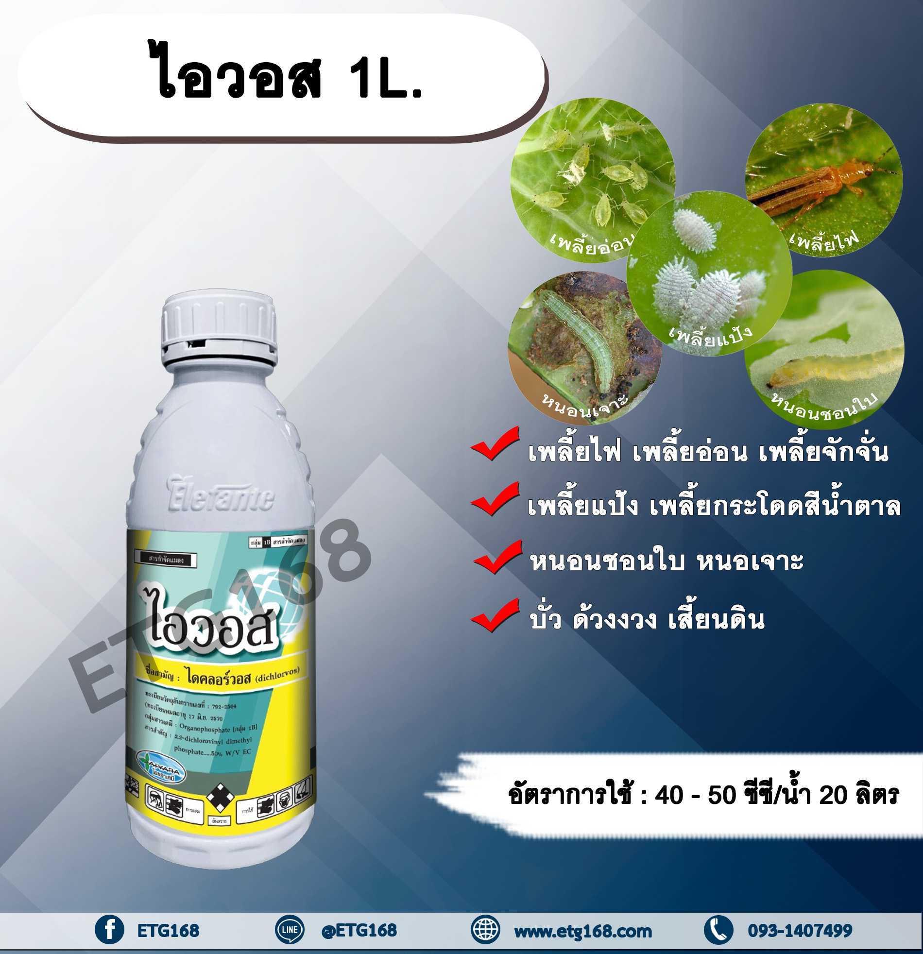 ไอวอส 1L. ไดคลอร์วอส สารกำจัดแมลง สารกำจัดหนอน สารกำจัดเพลี้ย เพลี้ยไฟ เพลี้ยอ่อน เพลี้ยแป้ง