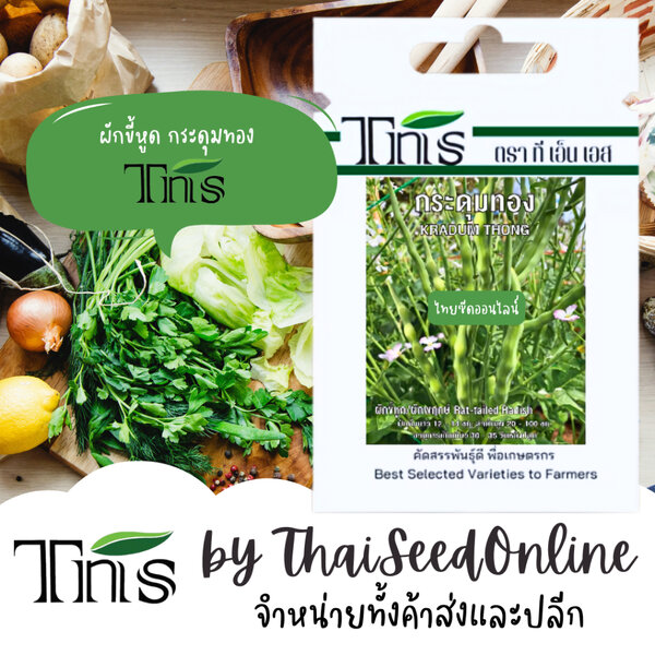 TNS(ทีเอ็นเอส) TNS(ทีเอ็นเอส) TNS เมล็ดพันธุ์แบบซองเล็ก ผักขี้หูด กระดุมทอง ตรา ที เอ็น เอส
