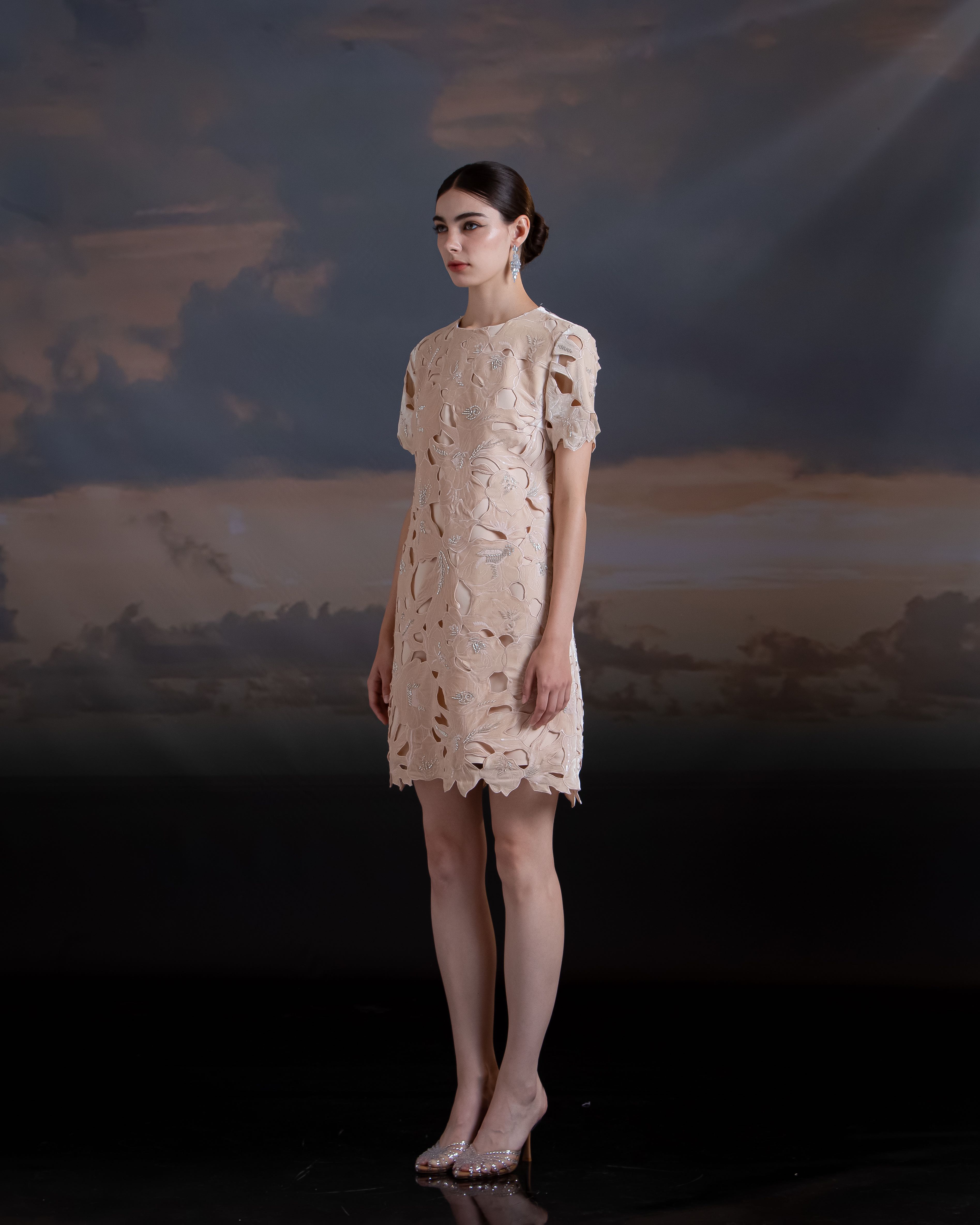 Mini Cocktail Dress