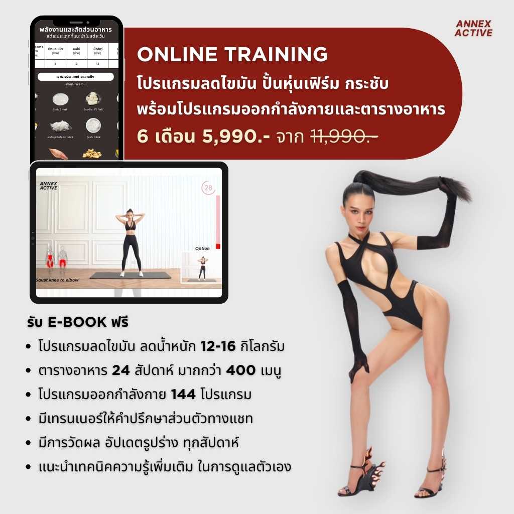 รับโปรแกรม 6 เดือน ANNEX ACTIVE ONLINE TRAINING COURSE
