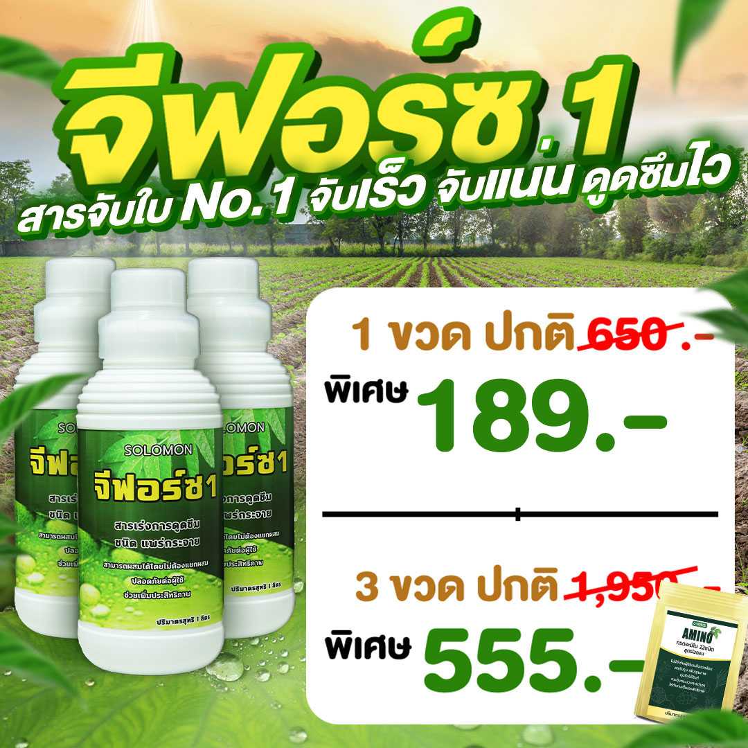 สารจับใบ จีฟอร์ซวัน 1 ลิตร