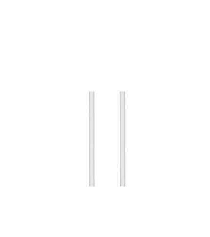 TO GO BOTTLE   straw set of 2