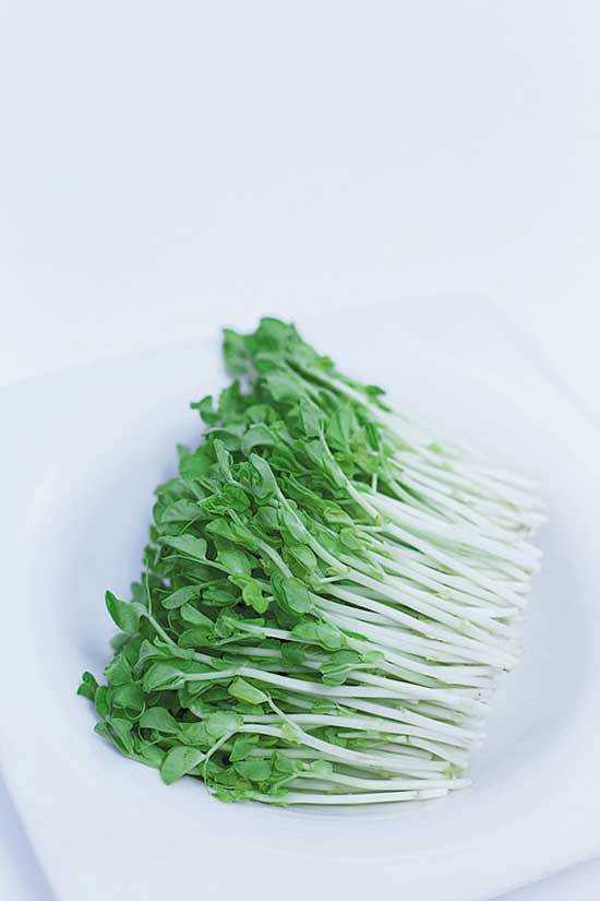 โตเหมี่ยว แพค200g ผักปลอดภัย