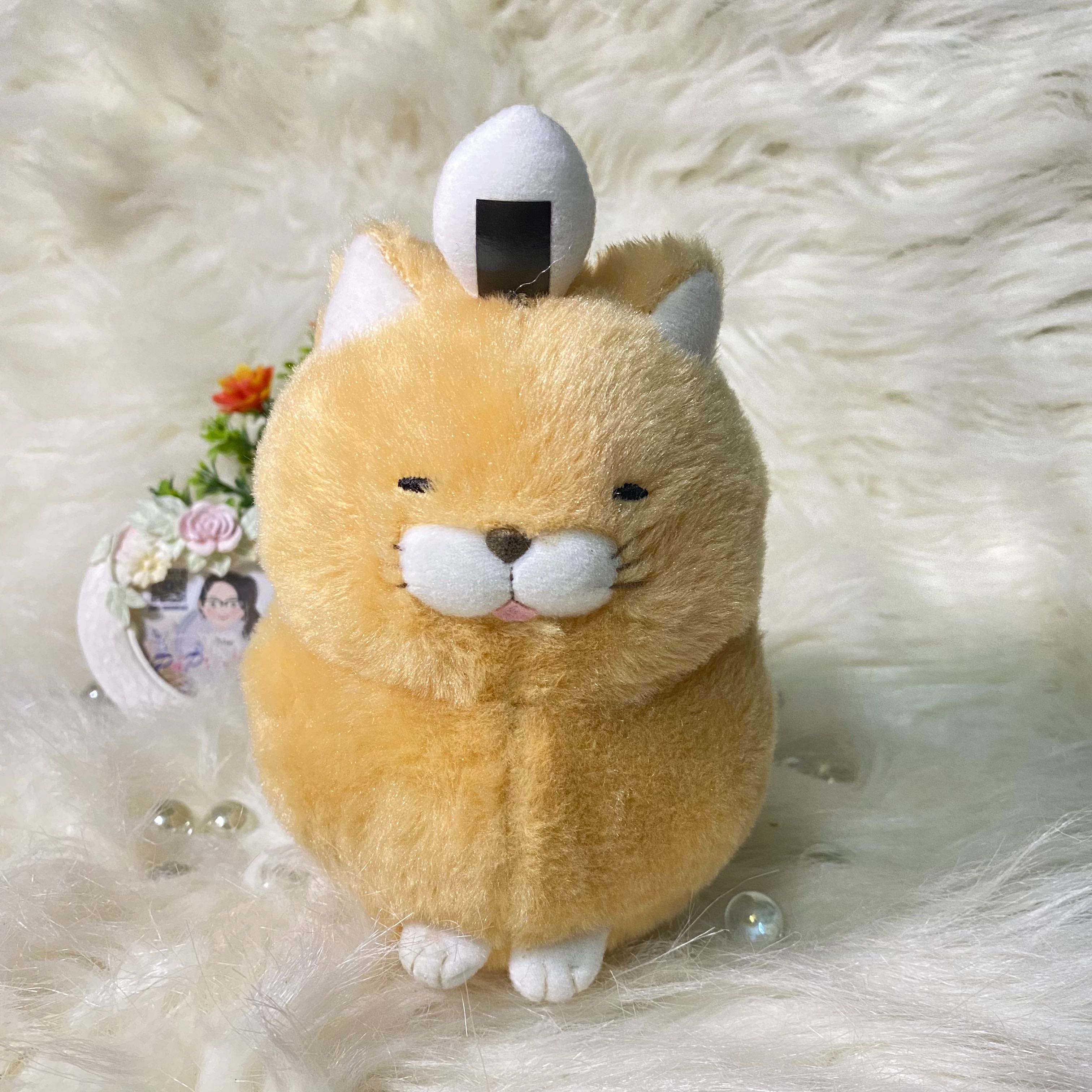 AMUSE