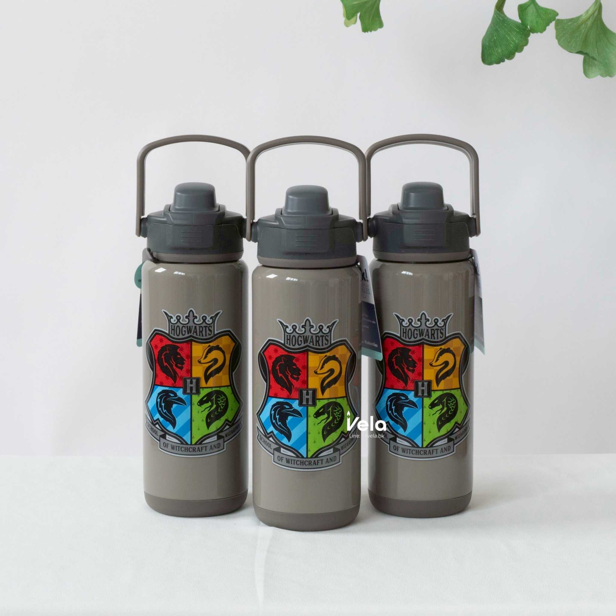Zak Beacon Insulated Bottle 20 oz (Harry Potter)