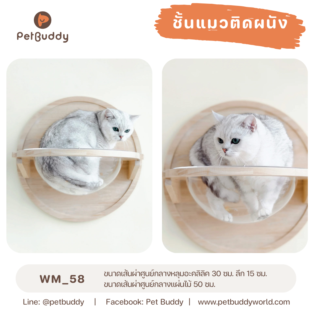 Pet Buddy: ชั้นแมวติดผนัง WM_58