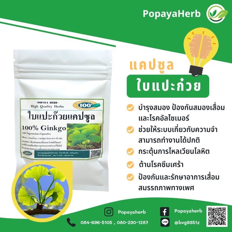 แคปซูล สมุนไพรใบแปะก๊วยGingko100% บำรุงสมอง เพิ่มความจำ