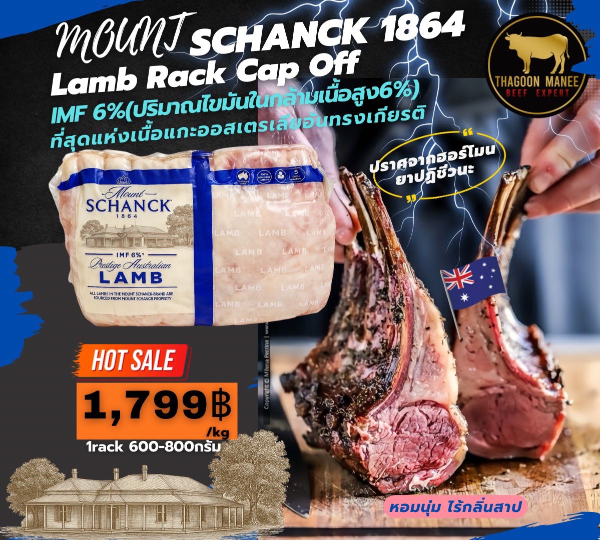 MOUNT SCHANCK 1864(Lamb Rack Cap Off)
