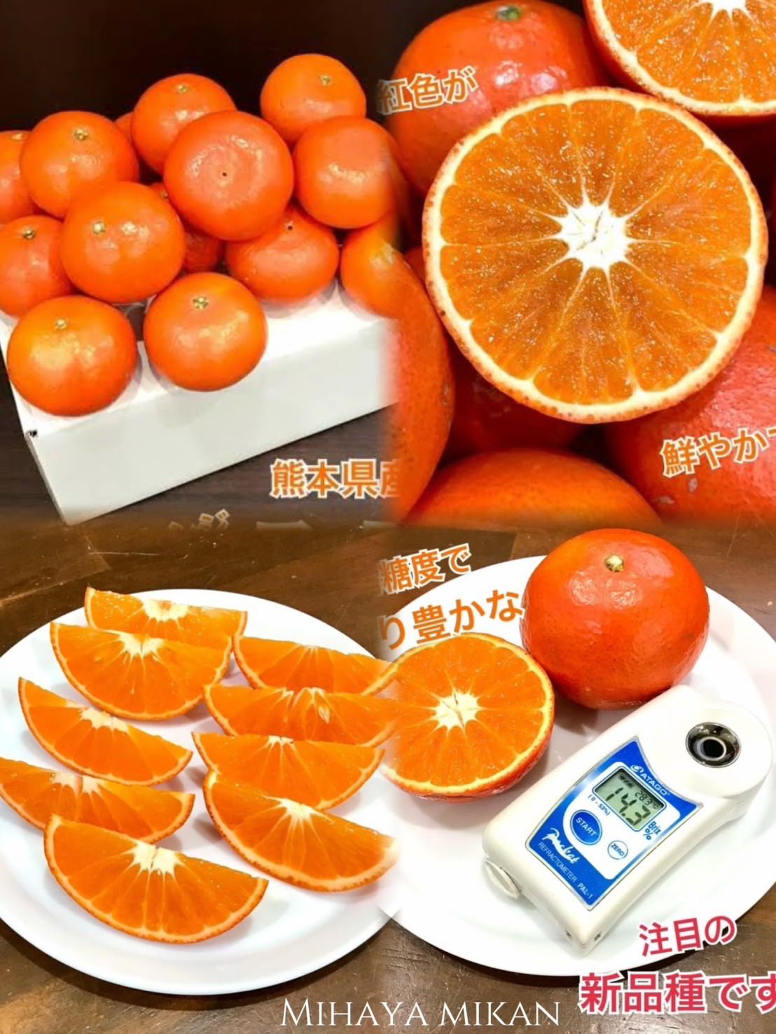 Orange Newhall Navel