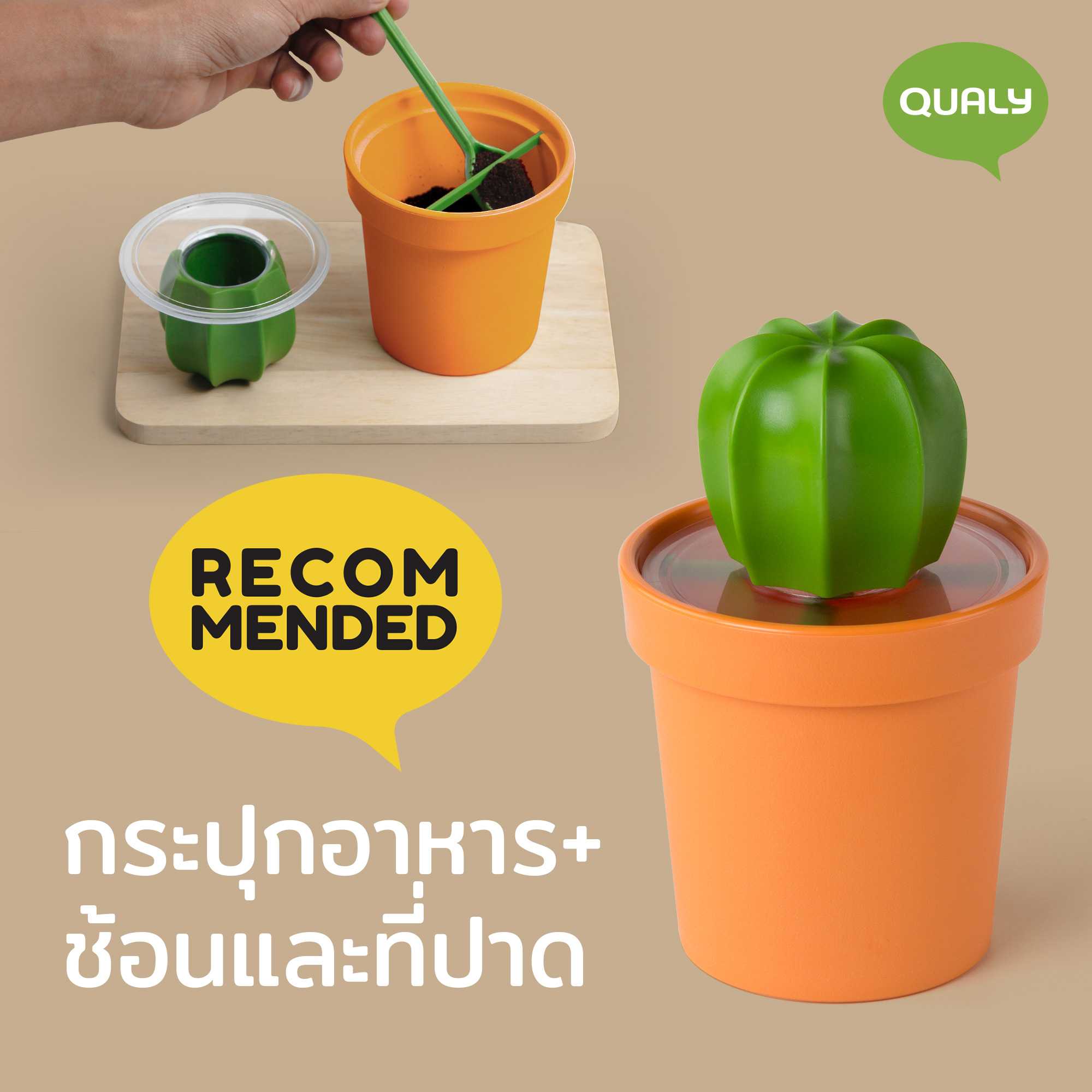 Canister & spoon โหลอเนกประสงค์ ใส่กาแฟ ชา น้ำตาล แป้ง ดีไซน์ ต้นกระบองเพชร  Qualy(ควอลี่)