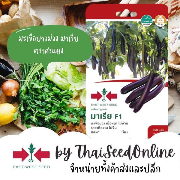 GGEW เมล็ดพันธุ์ มะเขือยาวม่วง มาเรีย 150 เมล็ด ตราศรแดง