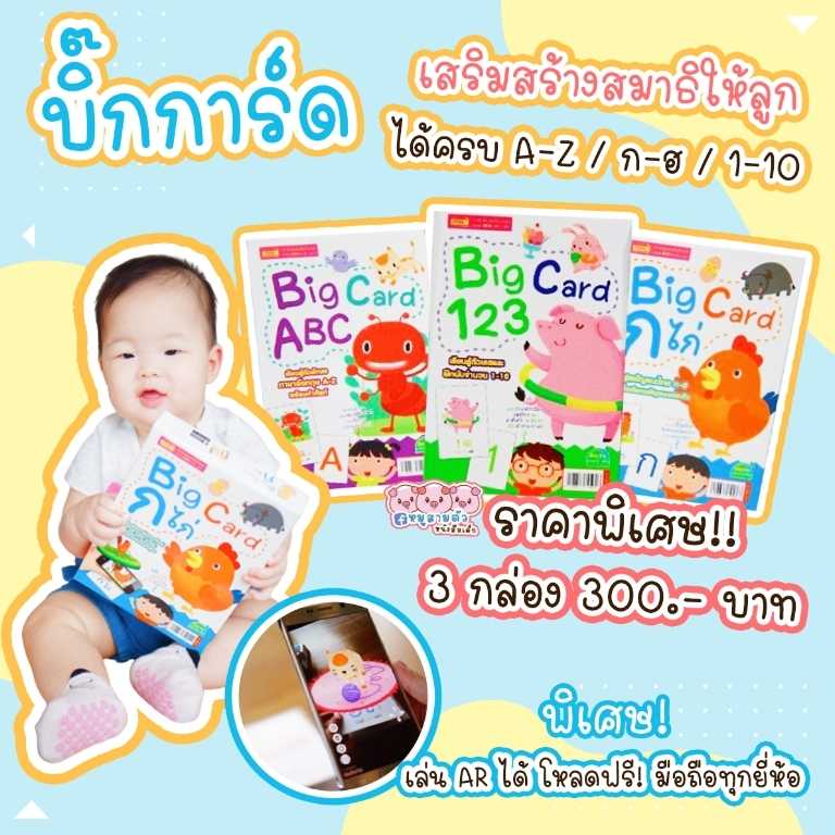 แฟลชการ์ด บิ๊กการ์ด จำนวน 3 หมวด