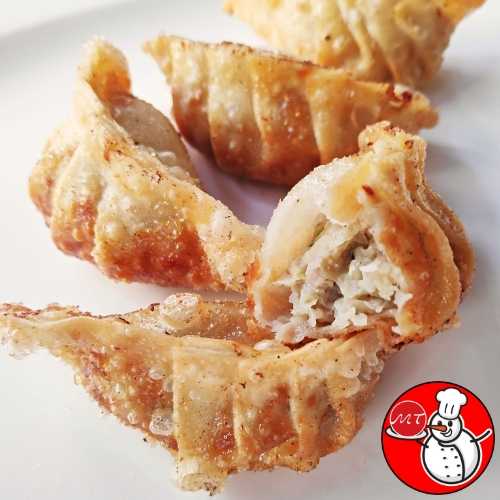 เกี้ยวซ่า(ไก่)แถมฟรีน้ำจิ้ม