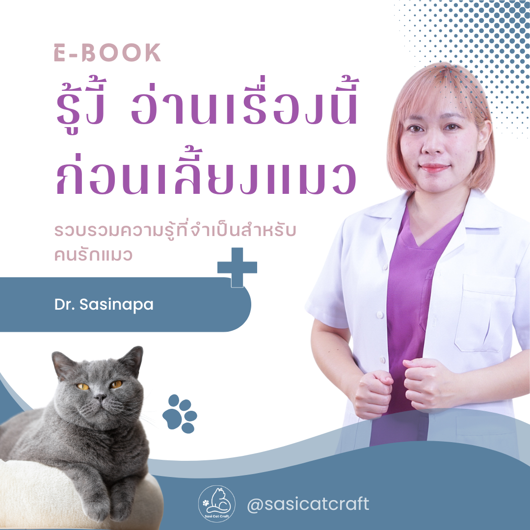 E Book รู้งี้ อ่านเล่มนี้ก่อนเลี้ยงแมว