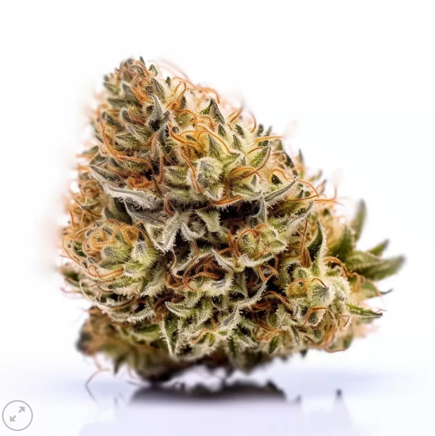 Forbidden Fruit Cake feminized pack 3