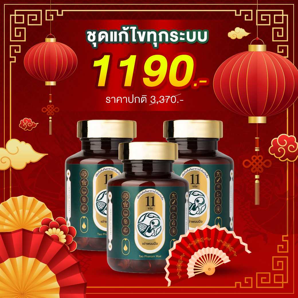 🎉✅ เต่าพนมมือ3กระปุก 🎁ราคา1,190บาท จัดส่งฟรี🛒