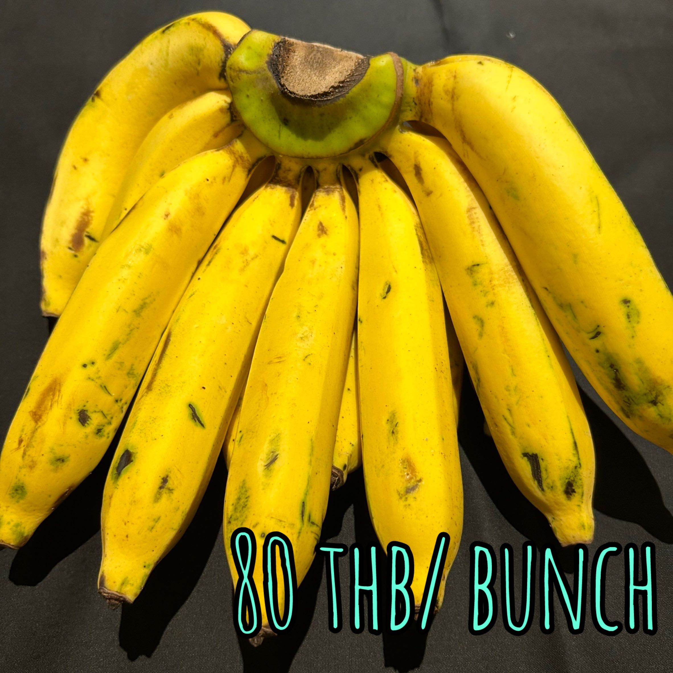 Yellow Cavendish Banana キャベンディッシュバナナは กล้วยหอมสุก