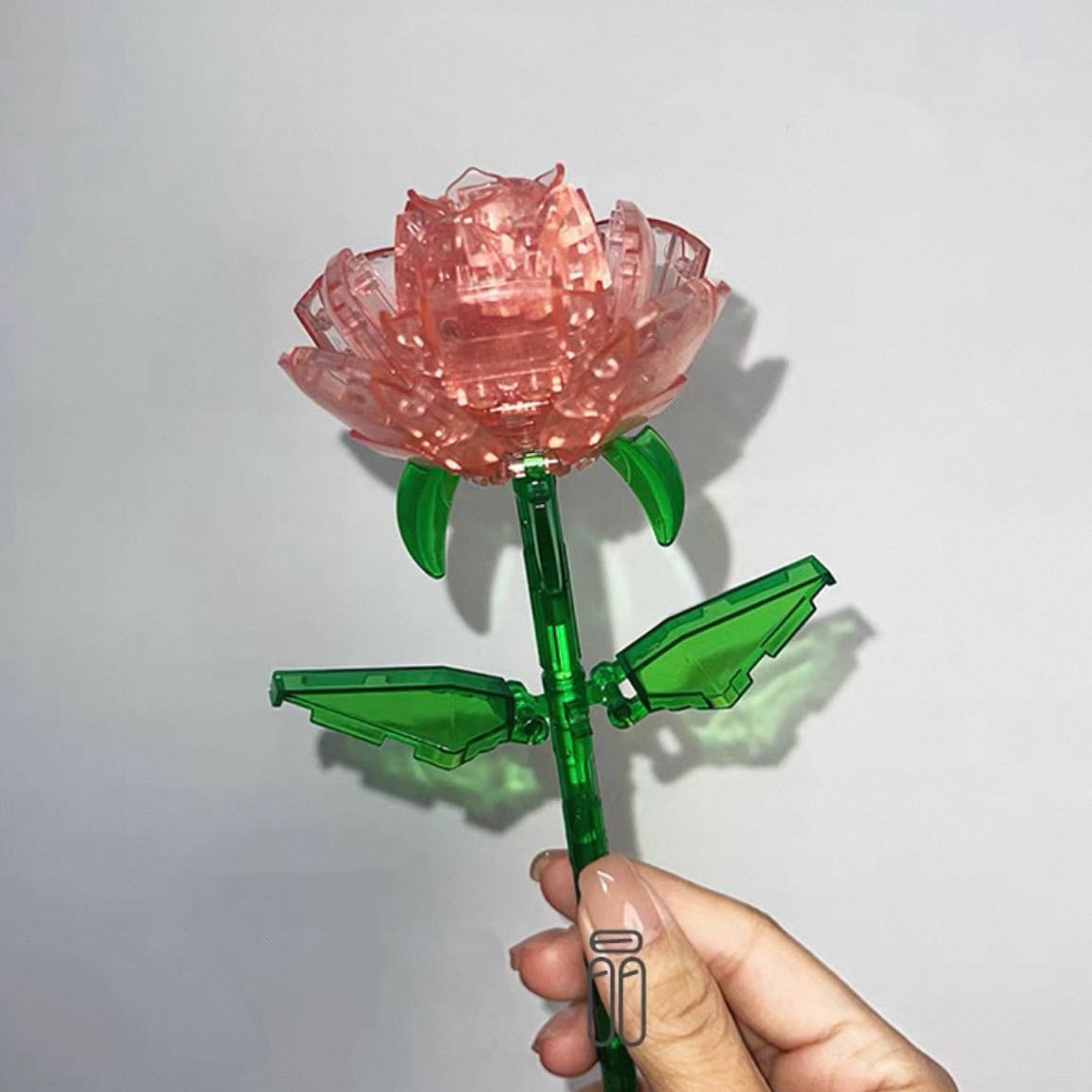 #พร้อมส่ง ดอกกุหลาบแบบใส