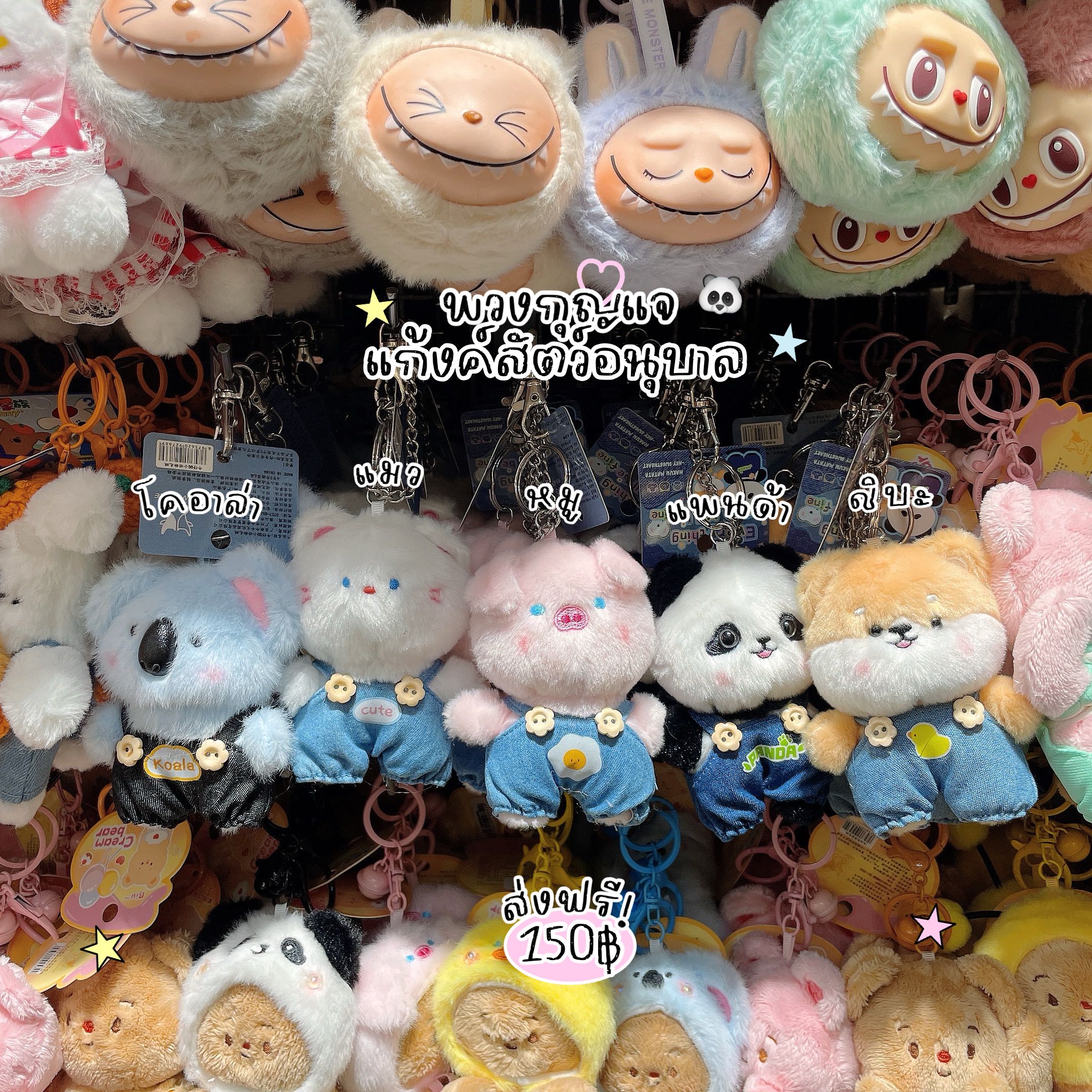 แก้งค์สัตว์อนุบาล 🐼🐈✨ ส่งฟรี