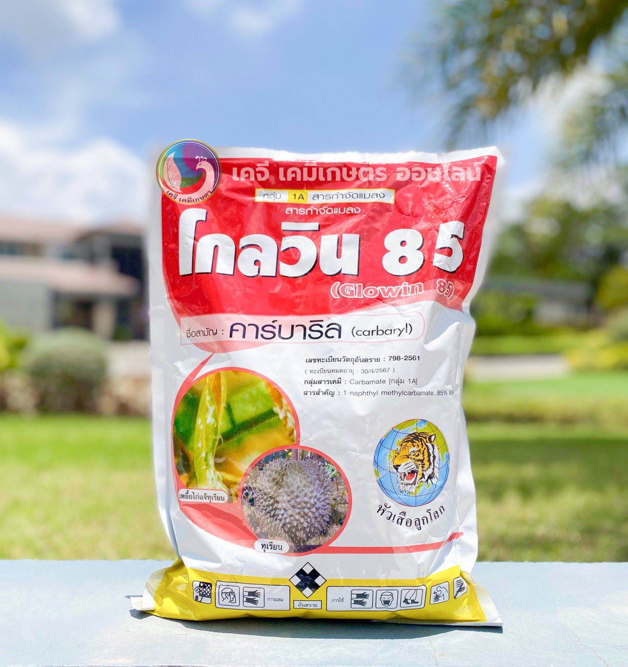 โกลวิน 85