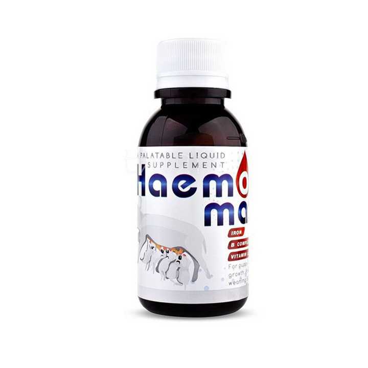 Haemo maxx ยาบำรุงเลือดแบบน้ำ 100 ml