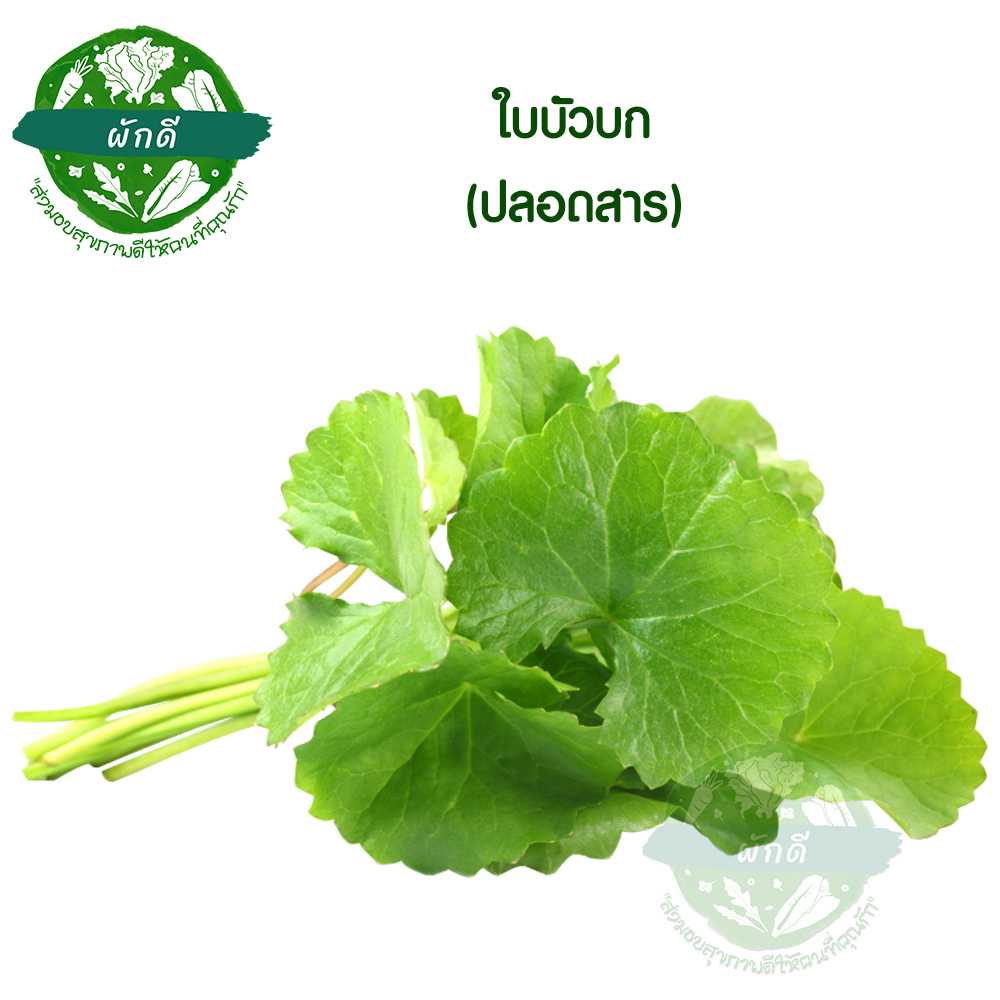 ใบบัวบก ปลอดสาร (กำ)