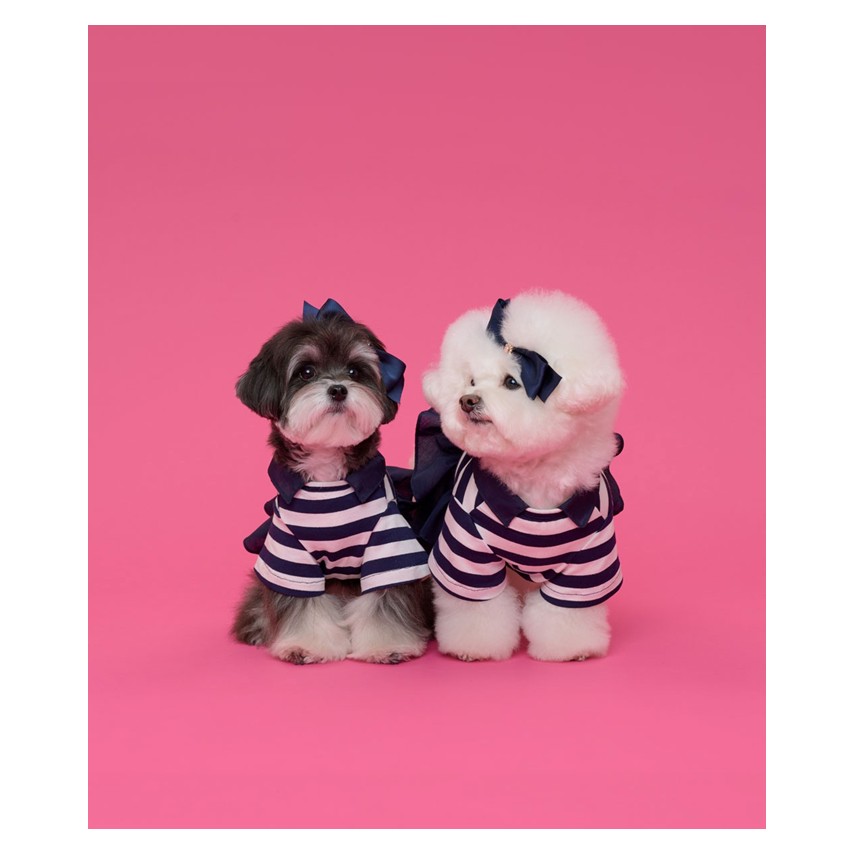 Comocomo (M)Hight school