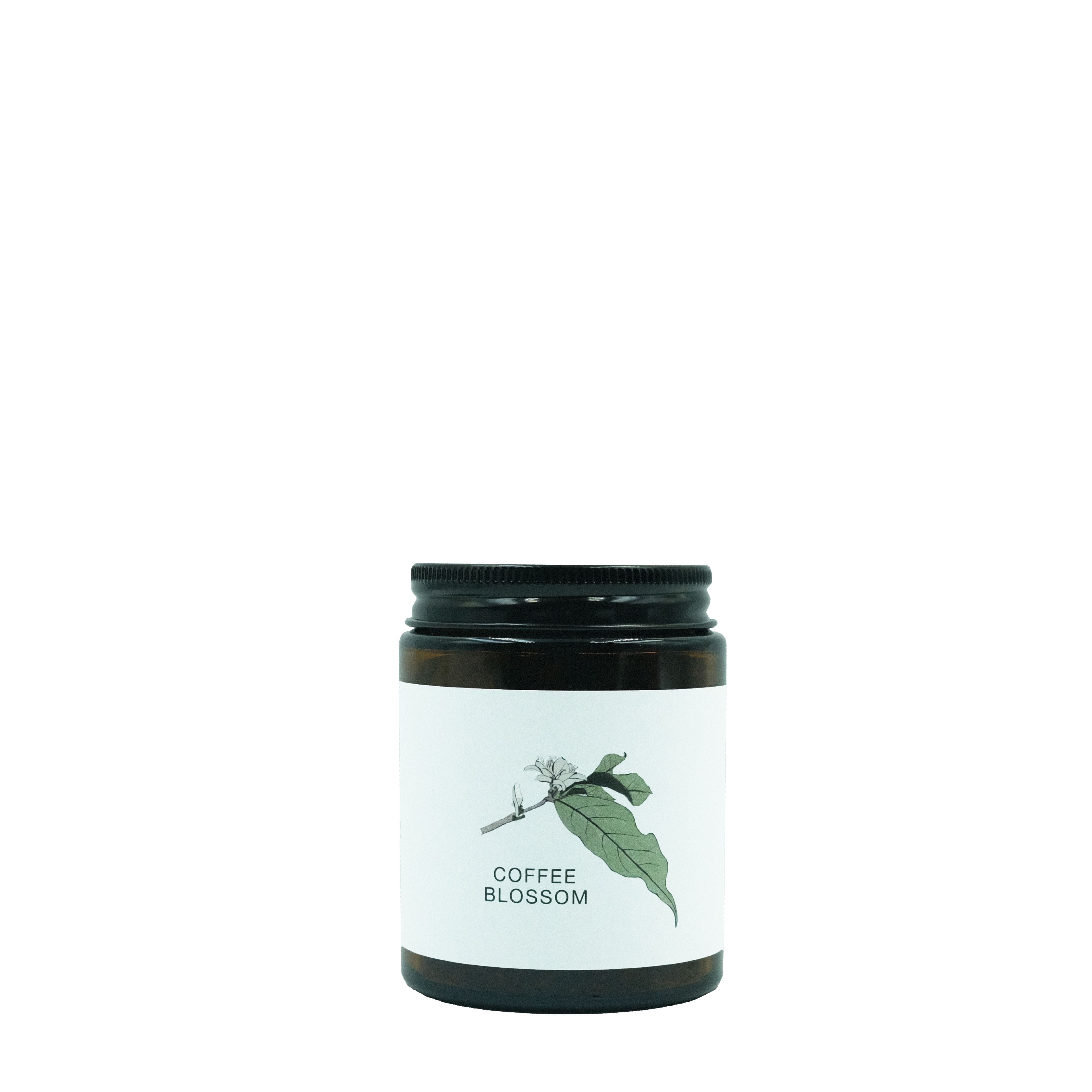 COFFEE BLOSSOM ( ชาดอกกาแฟ )