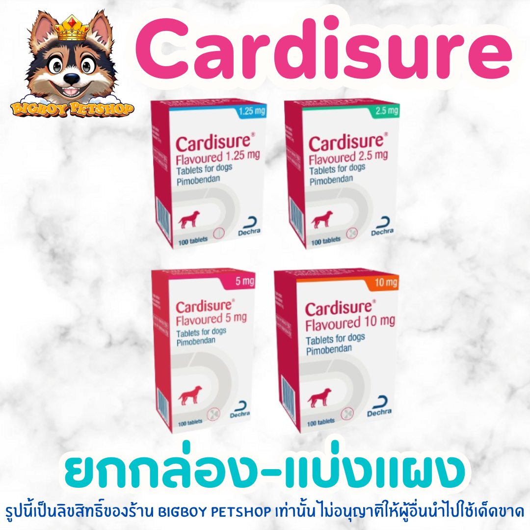 Cardisure (Pimobendan) 1.25 / 2.5 / 5 /10mg ยกกล่อง-แบ่งแผง รักษาโรคหัวใจสำหรับสุนัข