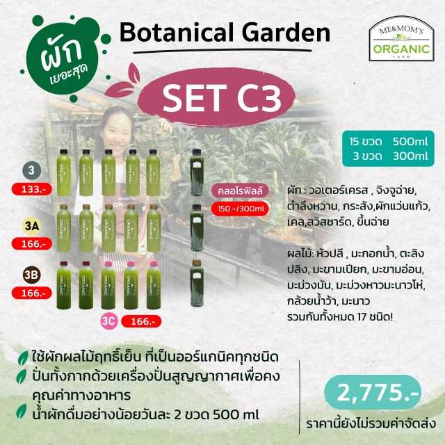SET C3 เซตผักเข้มข้น ผักสมุนไพรมาทั้งสวน!  ดื่มเพลิน  เครื่องดื่มยอดนิยม