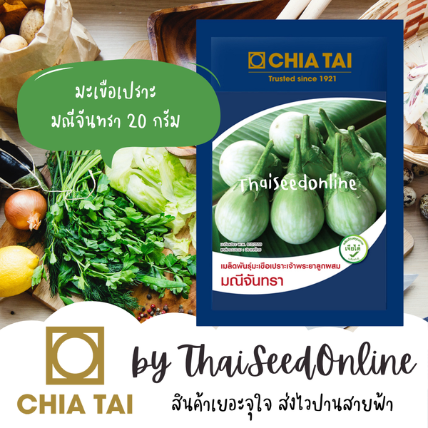 CTCOM เมล็ดพันธุ์ ซอง 20 กรัม มะเขือเปราะลูกผสมมณีจันทรา ตราเจียไต๋ Maneechantra Eggplant