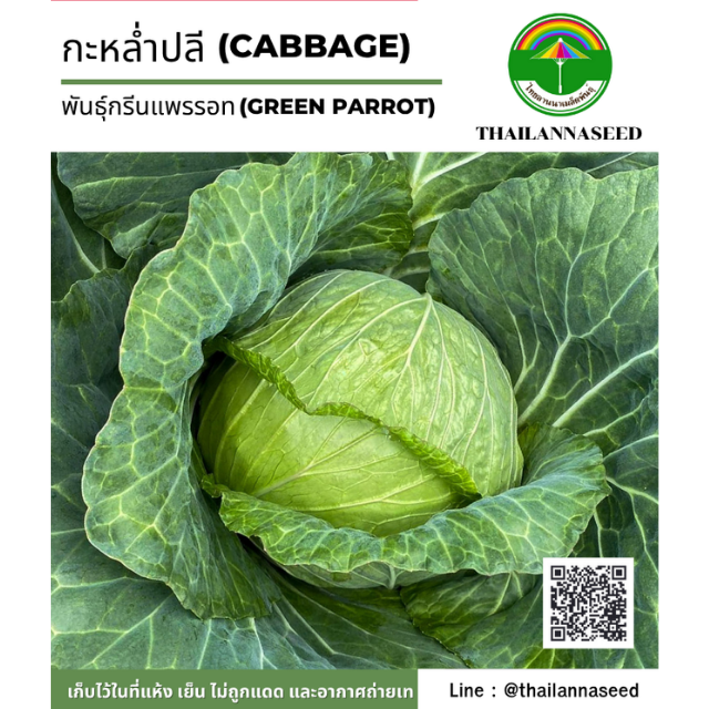 กะหล่ำปลี พันธุ์กรีนแพรรอท ( ขนาด 1 กรัม ) รหัสสินค้า 4018