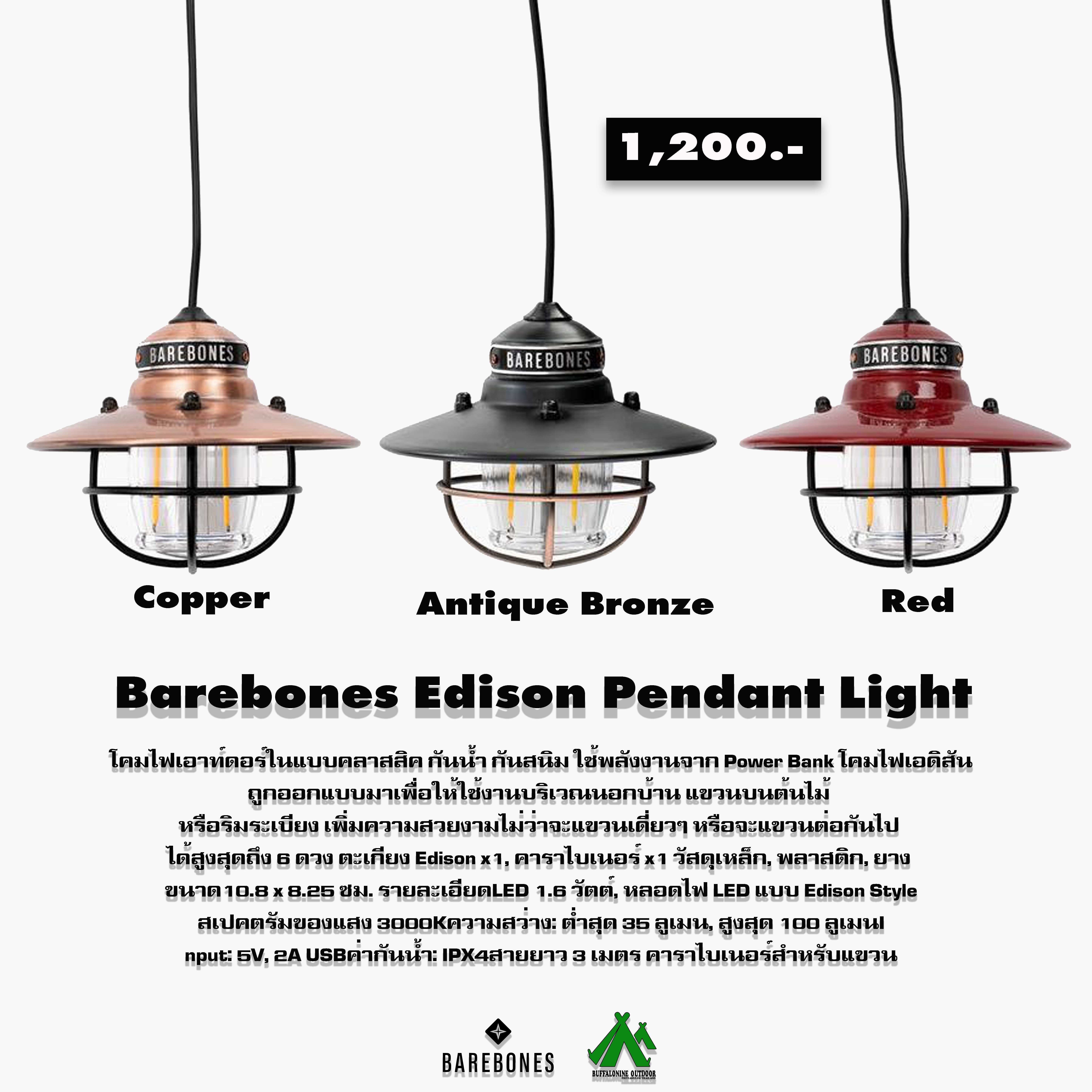Barebones Edison Pendant Light