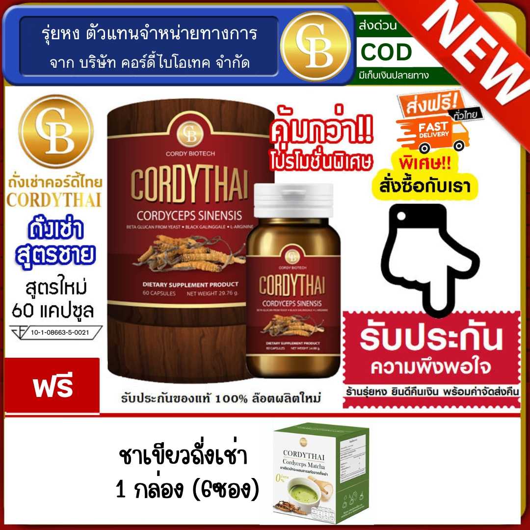 Cordythai ถั่งเช่าคอร์ดี้ไทย ม.เกษตร สูตรชาย (60 แคปซูล) ฟรี ชาเขียวถั่งเช่า 1 กล่อง