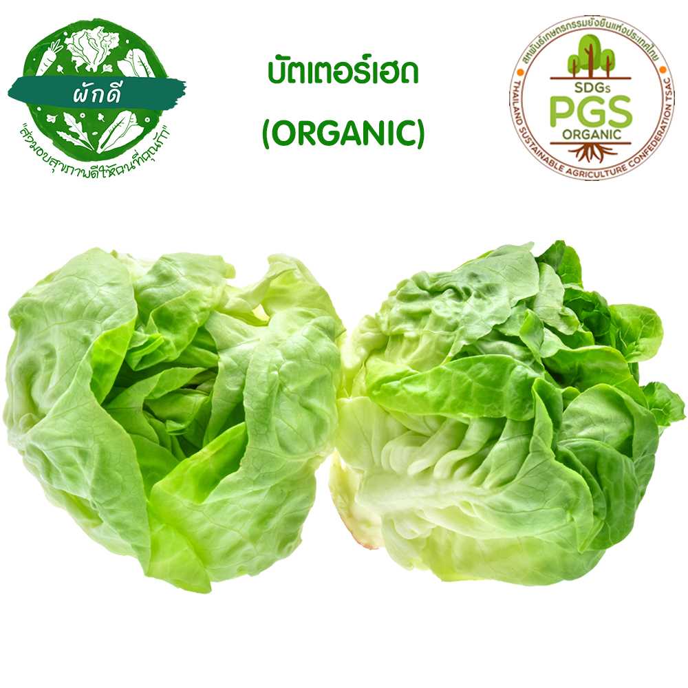 ผักสลัด บัตเตอร์เฮด ออแกนิก (Butter Head Lettuce)  250 กรัม