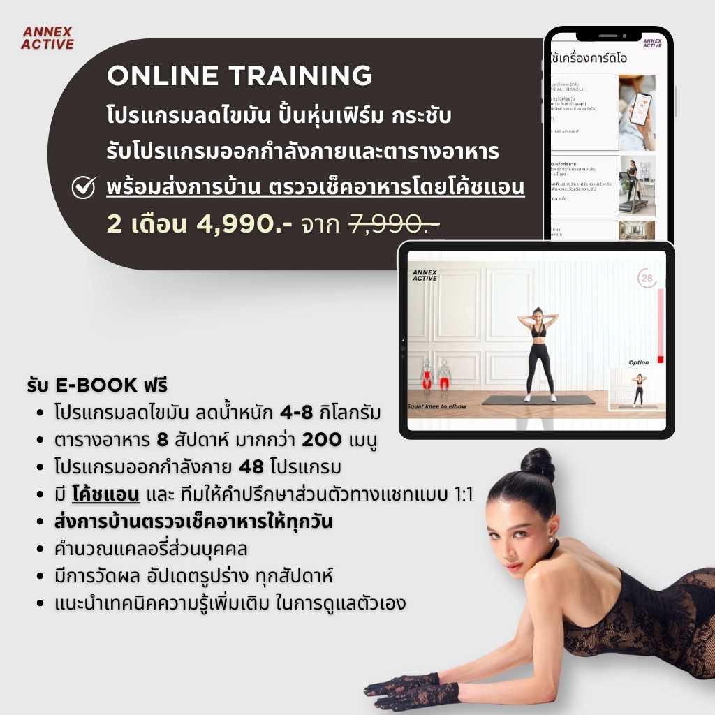 รับโปรแกรม + เทรน 2 เดือน ANNEX ACTIVE ONLINE TRAINING COURSE