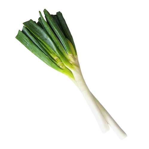 FG08005 ต้นหอมญี่ปุ่น Japanese Bunching Onion ( 300g )