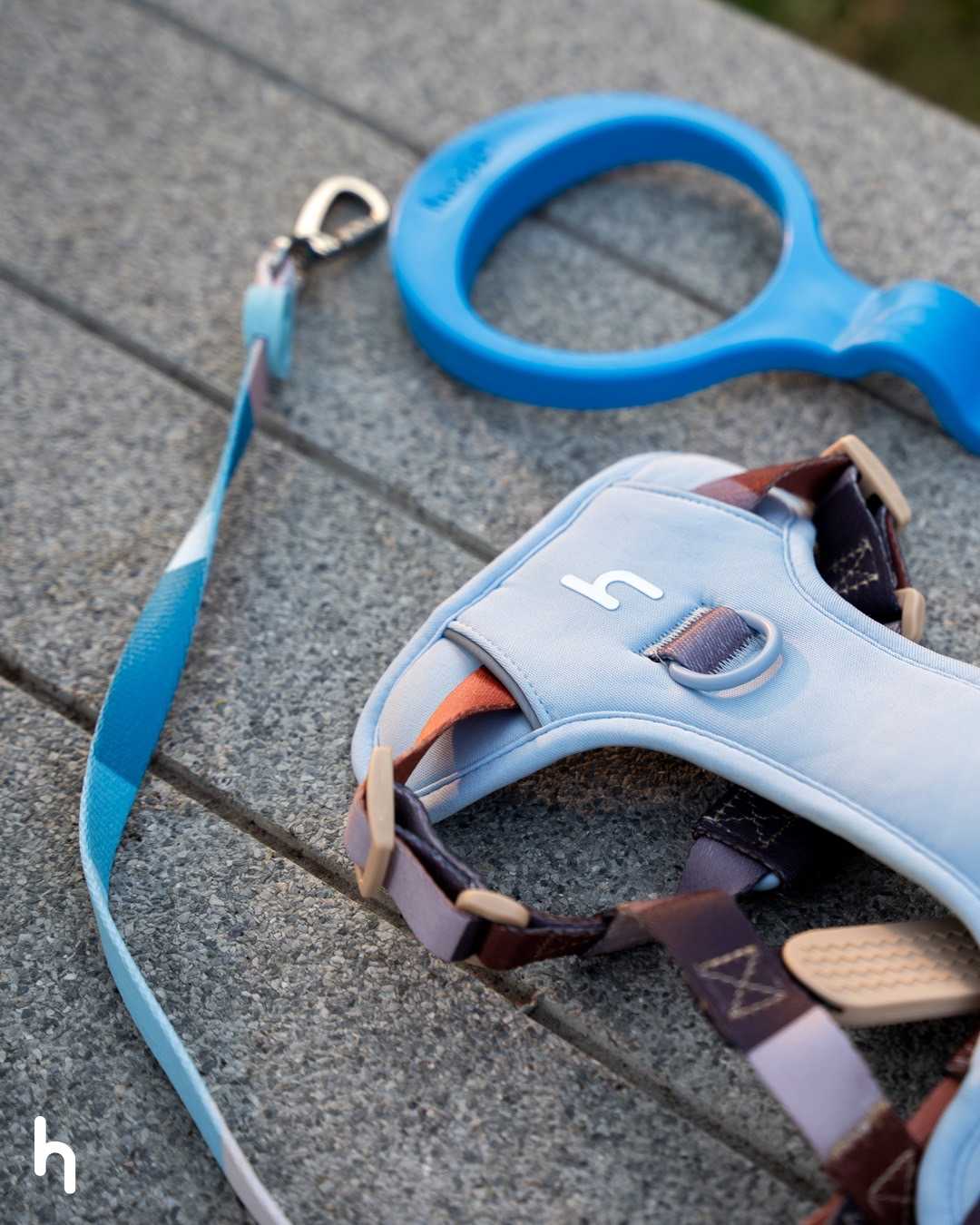 Hundur All-In-One Kit