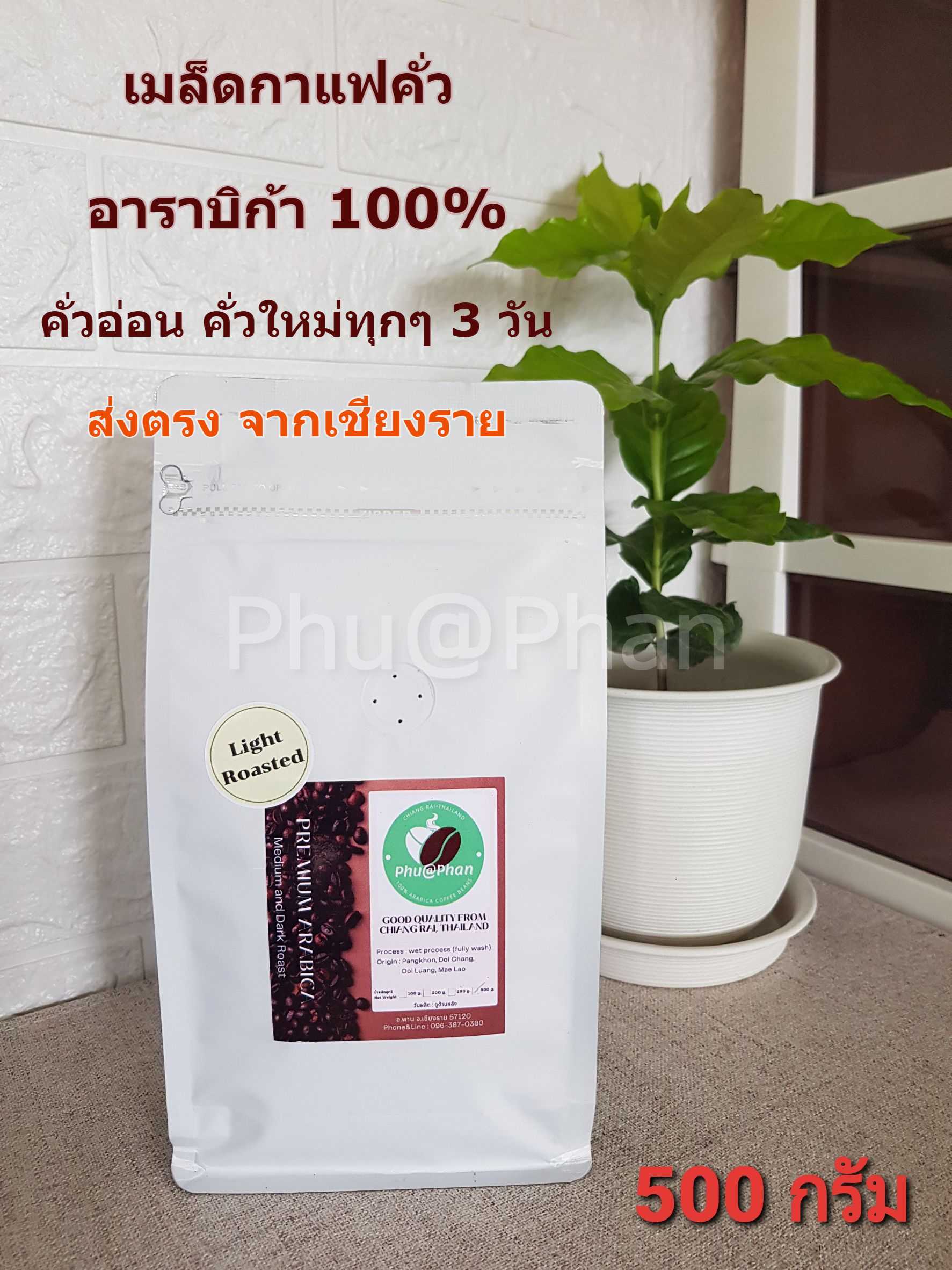 Phu@Phan เมล็ดกาแฟ อาราบิก้า แท้ 100% (คั่วอ่อน) ขนาด 500 กรัม ผลผลิตดอยช้าง จ.เชียงราย