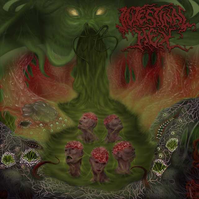 INTESTINAL HEX 'The Exalted Chambers of Abhorrence' Digi-CD