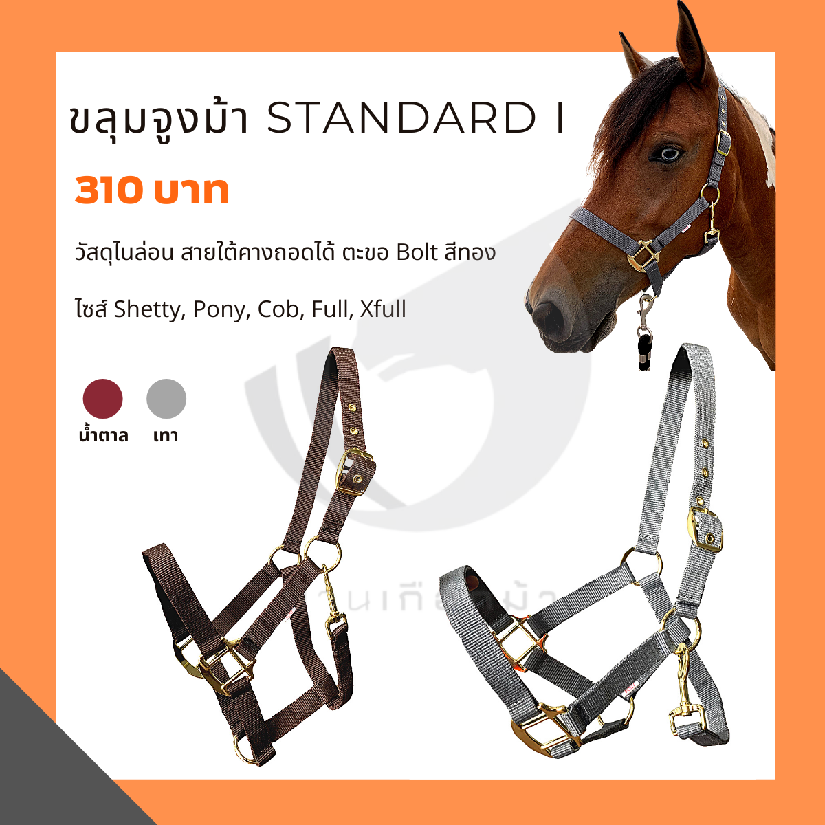ขลุมจูงม้า STANDARD I