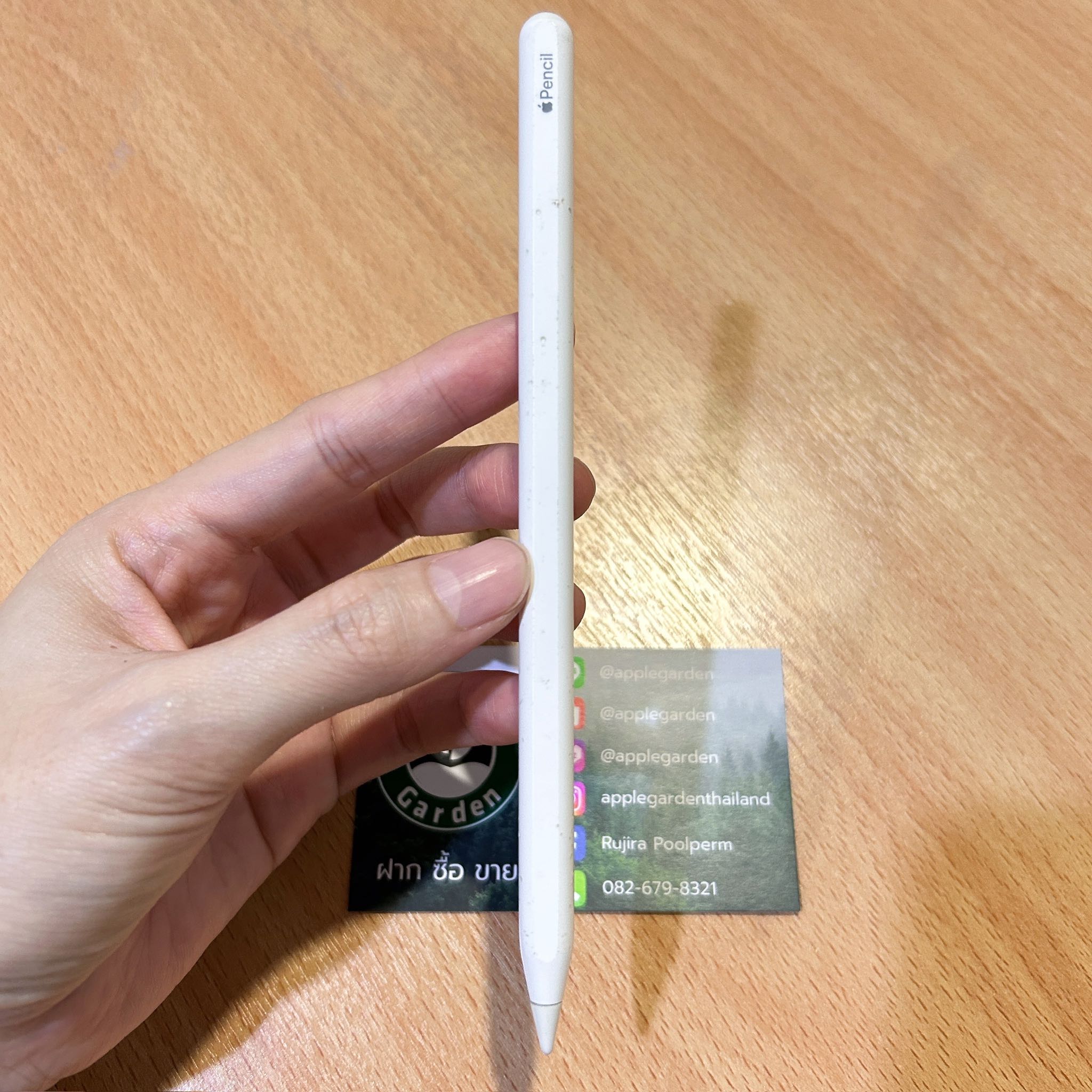 P10 Apple Pencil gen 2