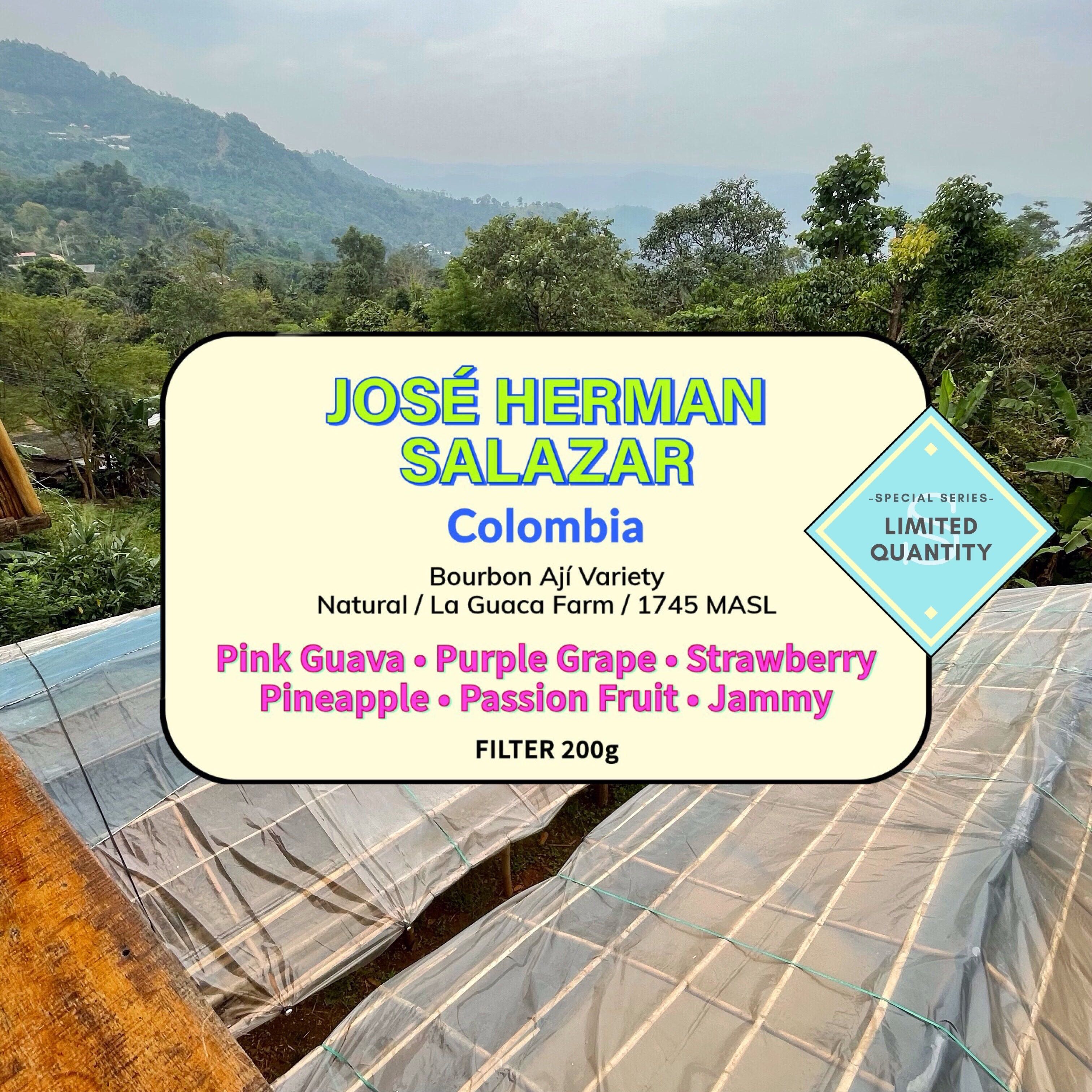 Jose Herman Salazar ( Filter Roasted )