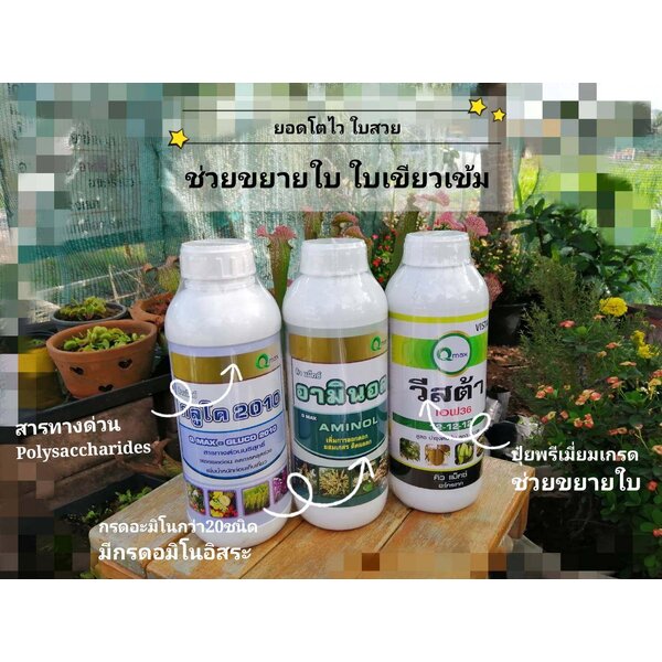 คิวแมกซ์ QMax ชุดอาหารฟื้นต้นทำใบ ใบยาว ใหญ่ เขียวเข้ม