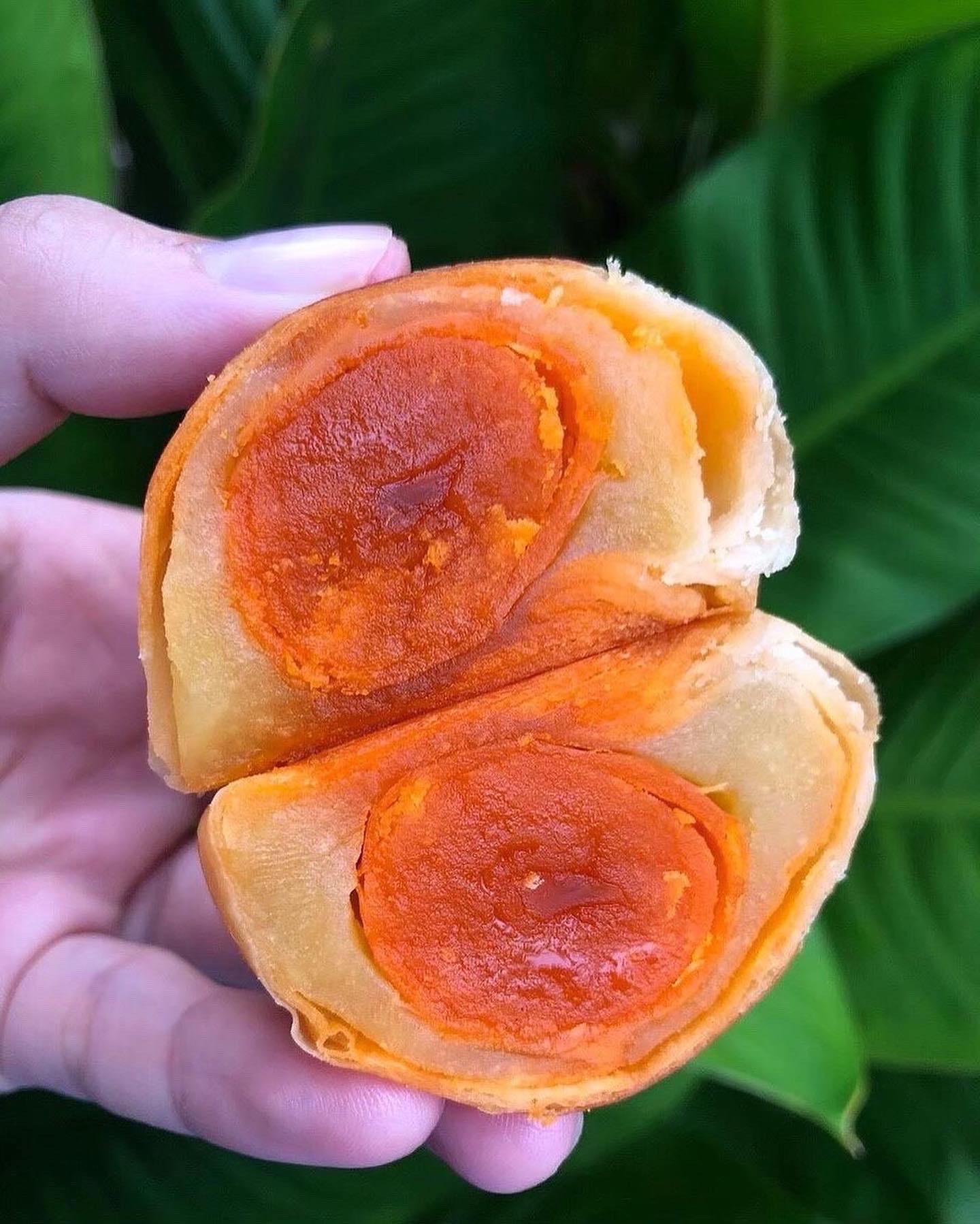 An Image