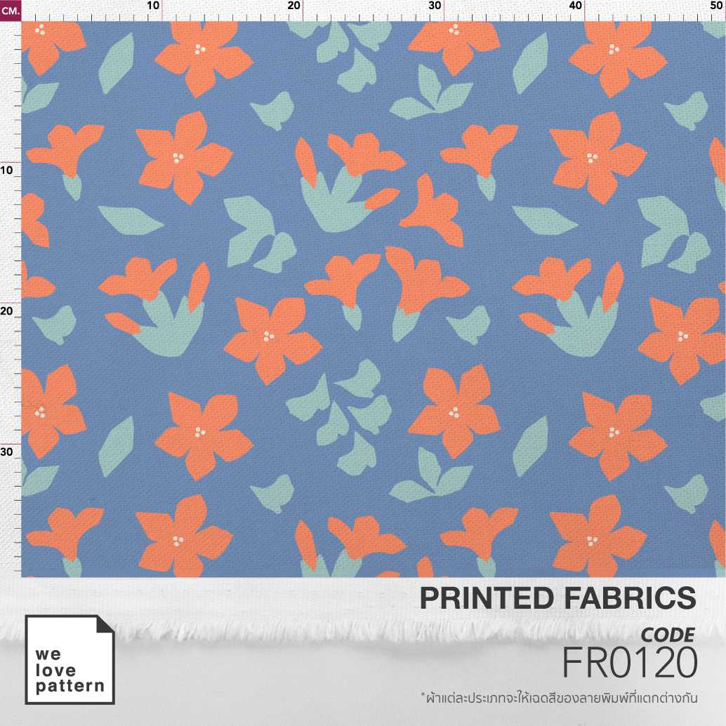 รหัสลาย : FR0120