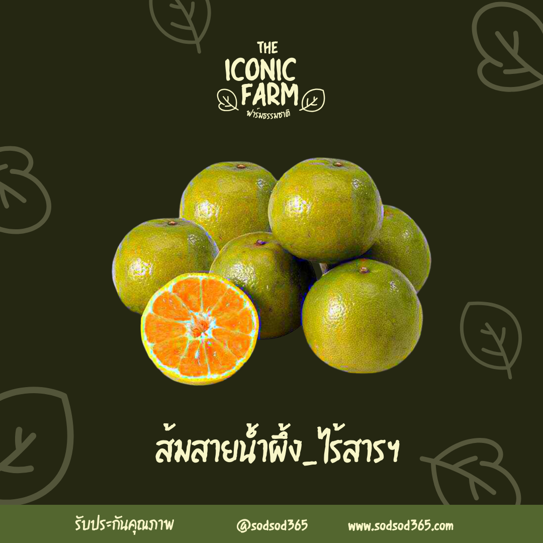 ส้มสายน้ำผึ้ง  เบอร์5  ป้องกันการเกิดมะเร็ง
