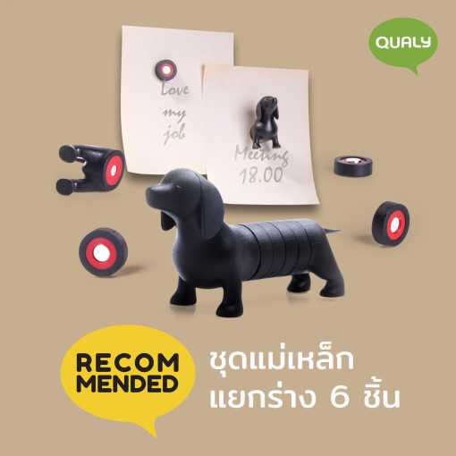 Dachshund Magnetic Dog  magnet  แม่เหล็กติดตู้เย็น ดีไซน์ น้องหมาดัชชุน  Qualy (ควอลี่)