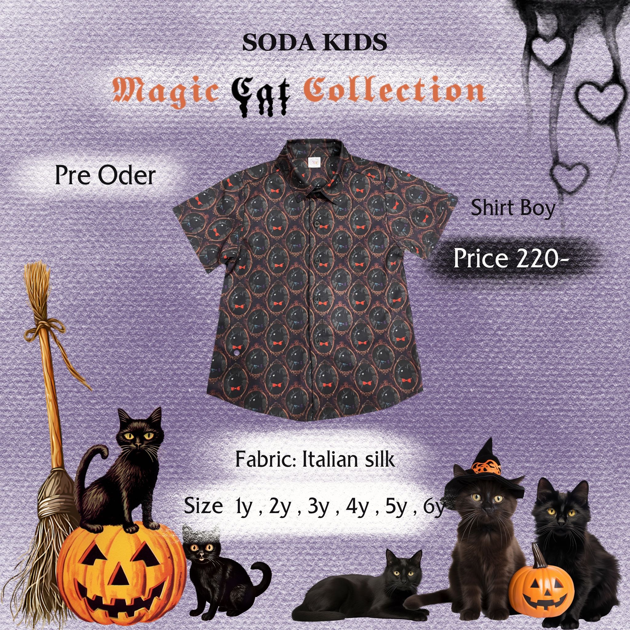 Shirt Holloween boy (pre oder7-14วัน)